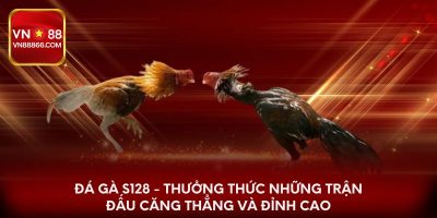 Đá gà S128 - Thưởng thức những trận đấu căng thẳng và đỉnh cao