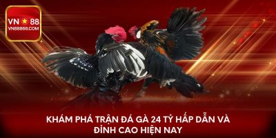 Khám phá trận đá gà 24 tỷ hấp dẫn và đỉnh cao hiện nay